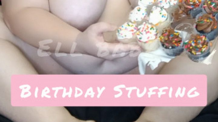 My Birthday Cupcake Stuffing