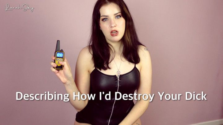 Describing How I'd Destroy Your Dick