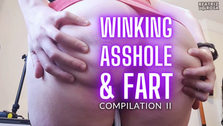 Winking asshole and fart compilation II