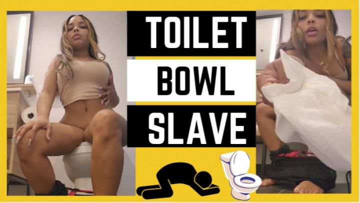 Toilet Bowl Slave