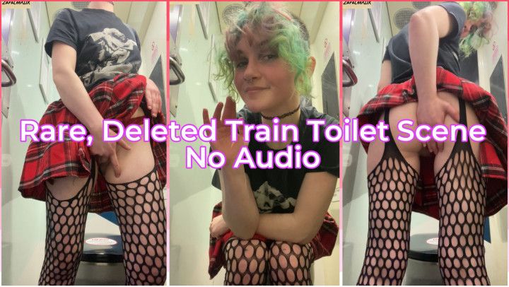 Slutty Train Toilet Fun Minus The Sound