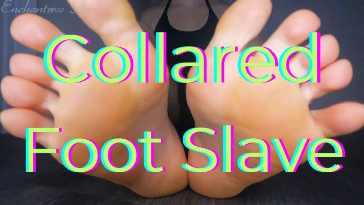 Collared Foot Slave