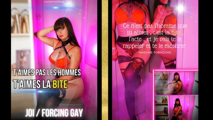 tu aimes pas les hommes tu aimes la bite