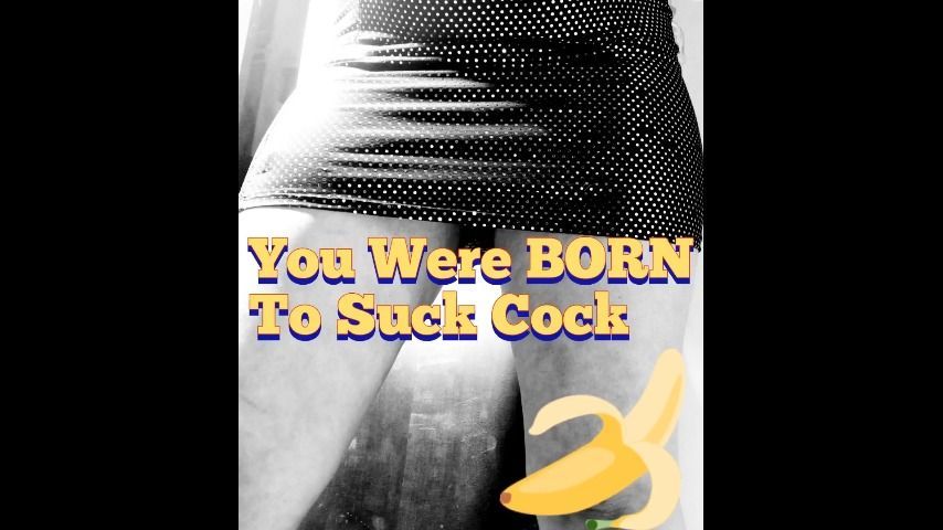 You Were Born To Suck Cock! Audio