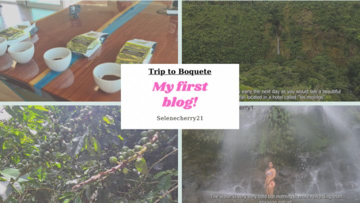 MY FIRST BLOG!! Trip to boquete