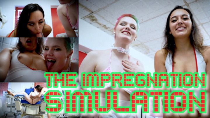 The Impregnation Simulation