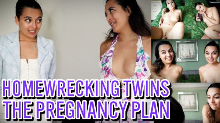 Homewrecking Twins - The Pregnancy Plan