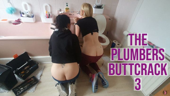 The Plumbers Buttcrack 3