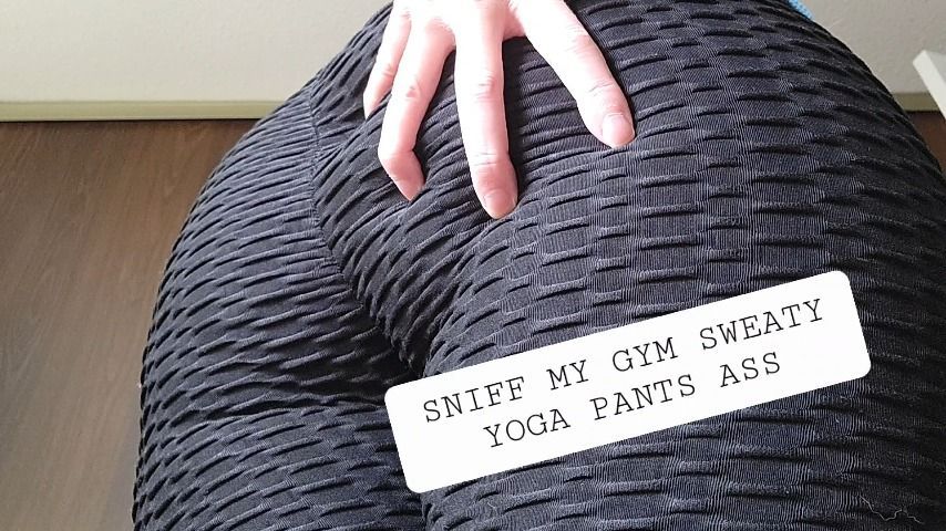 Sniff My Sweaty Gym Yoga Pants Ass