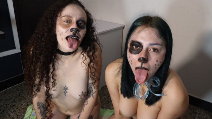 Custom/ Puppys Gasping/Drooling/Ahegao