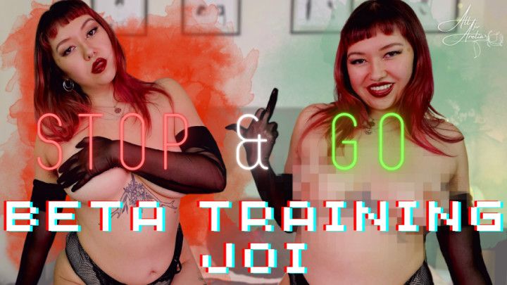 STOP &amp; GO: Beta Training JOI