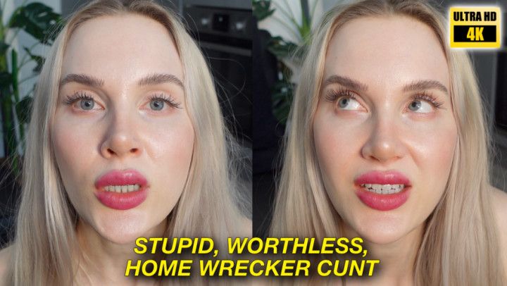 Stupid Worthless Home Wrecker Cunt 4K