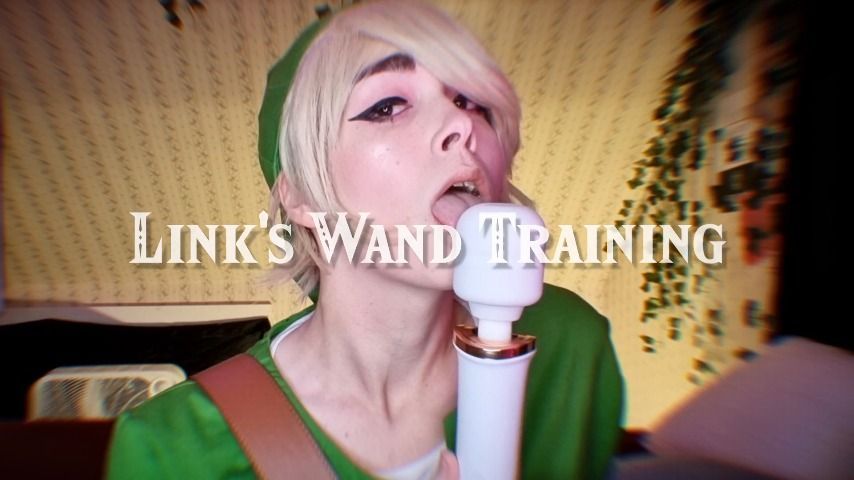 ZELDA - LINK'S WAND TRAINING