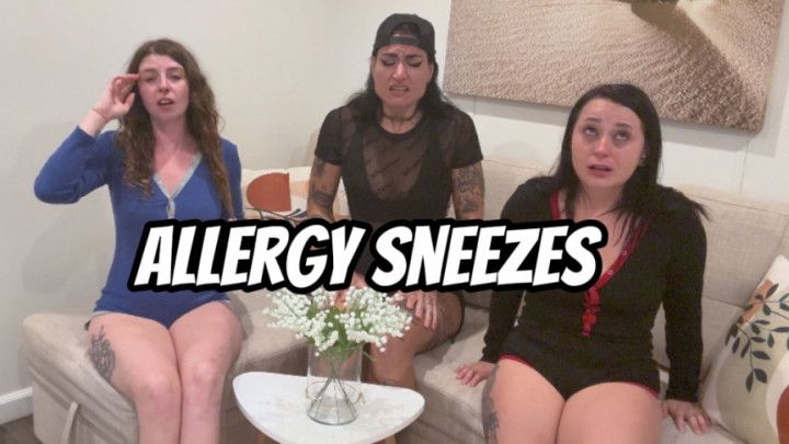 Flower Allergy Sneezes