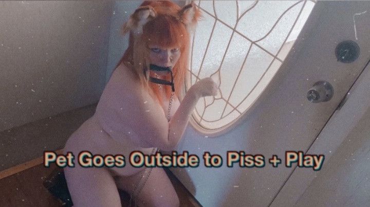 Pet Goes Outside to Piss and Play