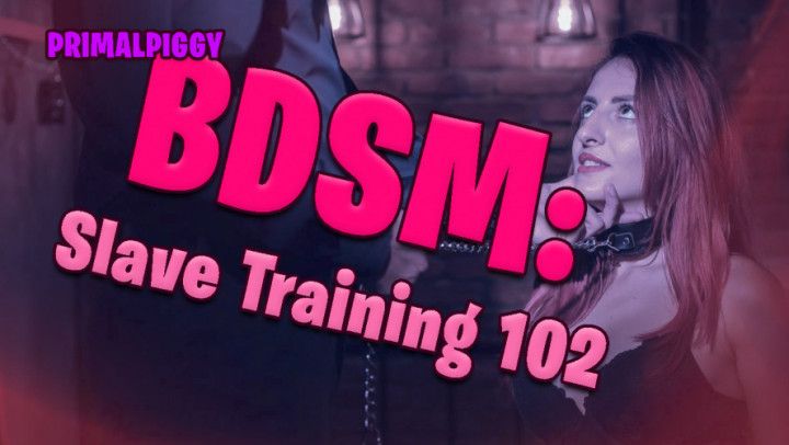 BDSM: Slave Training 102