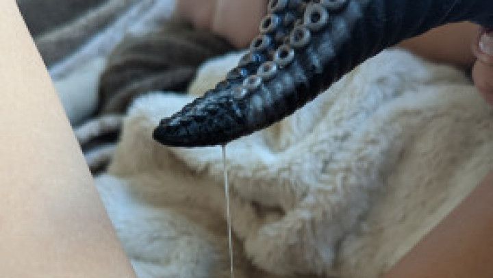 Tentacle Dildo Play Time