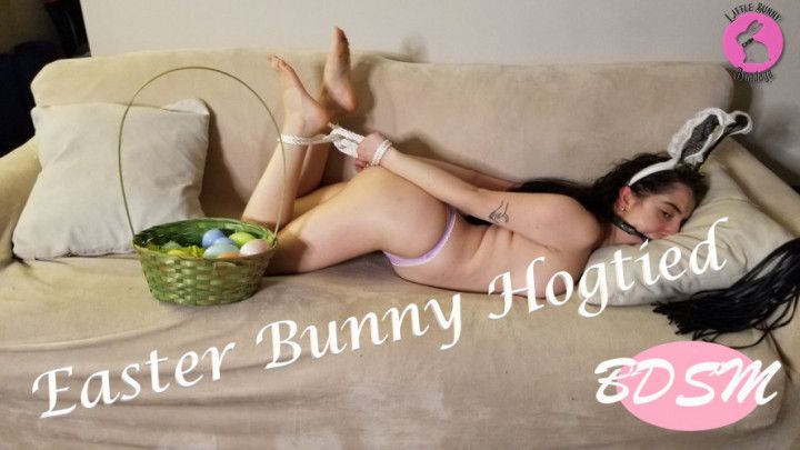 Easter Bunny Hogtie