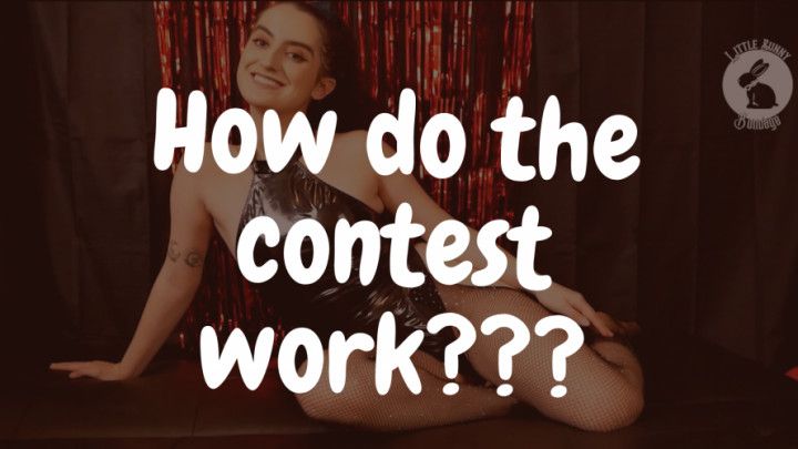 How Do Contests Work? With LittleBunnyB