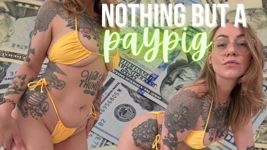 Nothing But A Paypig