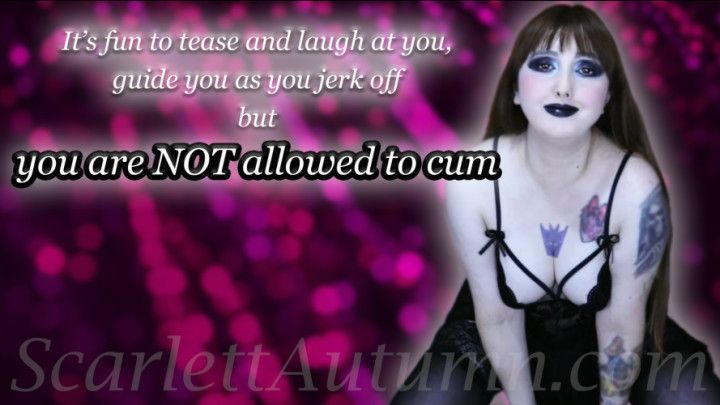 You are NOT allowed to cum