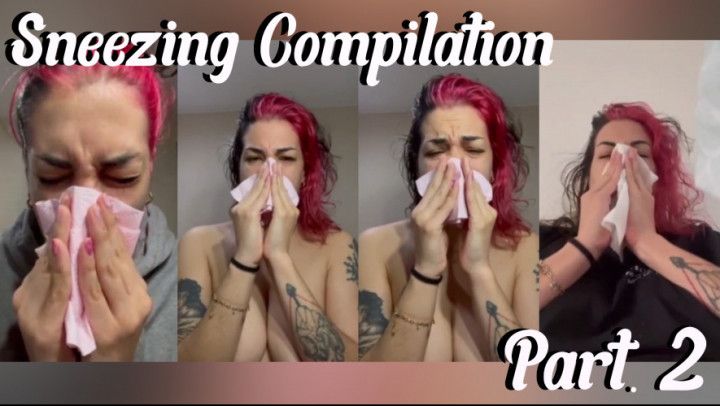 Sneezing Compilation Part.2