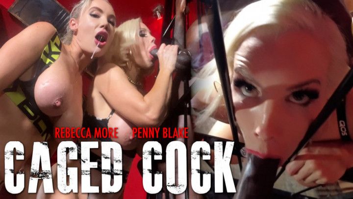 Caged Cock