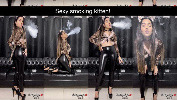 Sexy smoking kitten in leather pants