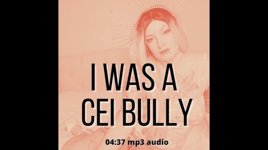 I was a CEI bully AUDIO