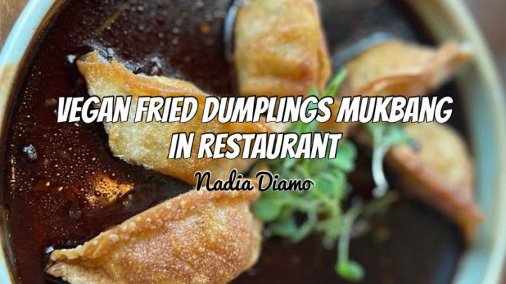 Vegan Fried Dumplings Mukbang In Restaurant