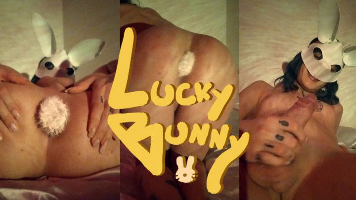 Lucky Bunny