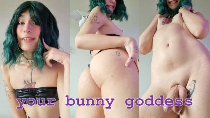 Your Bunny Goddess