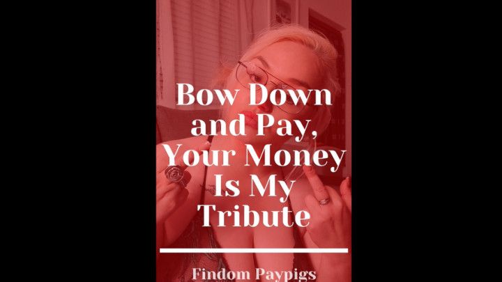 Finsub Training: Your Money is My Tribute