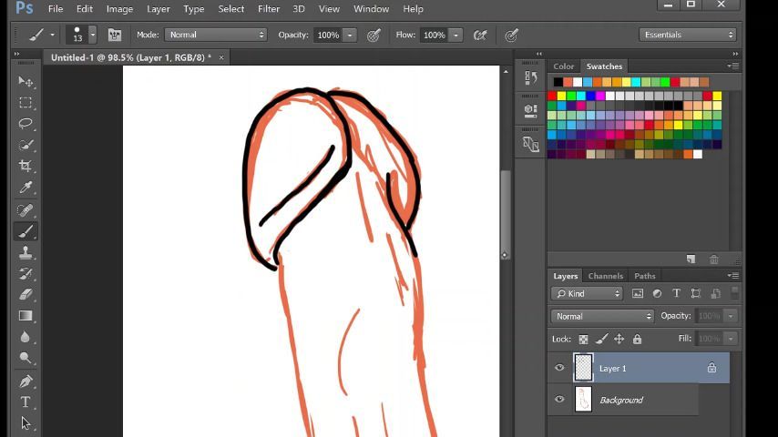 SAMPLE Genital Drawing Video