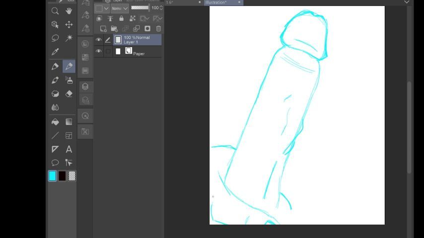 SAMPLE Genital Drawing + Rate