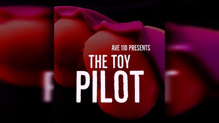 The Toy Pilot