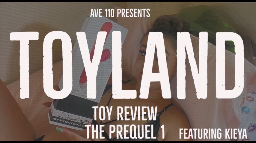 Toyland Toy Review Prequel 1