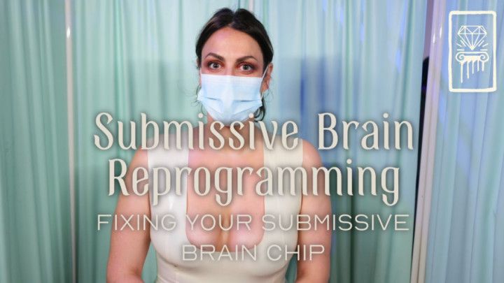 Submissive Brain Reprogramming - Fixing your Sub Brain Chip