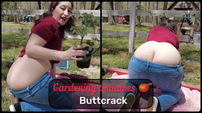 Gardening Tomatoes - Butt crack