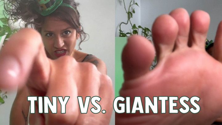 Tiny Gold Digger Punishment: Beware of the Giantess