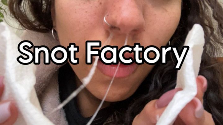 SNOT FACTORY