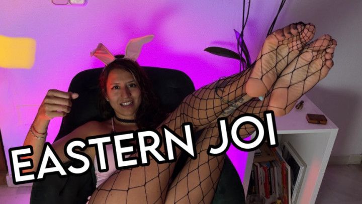 BUNNY FISHNETS JOI