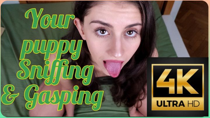 4K PUPPY SNIFFING &amp; GASPING