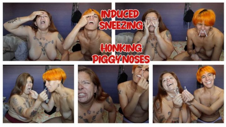 INDUCED SNEEZING - PIGGY NOSES - HONKING