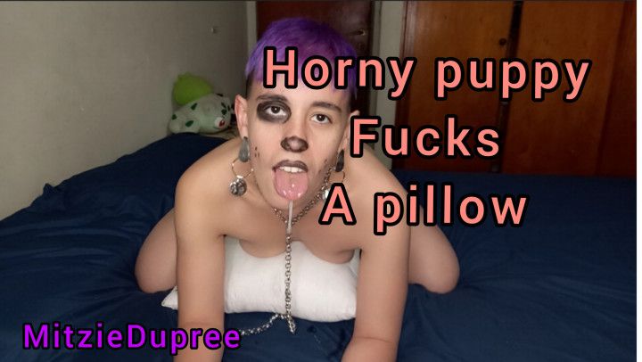 Horny puppy  fucks a pillow