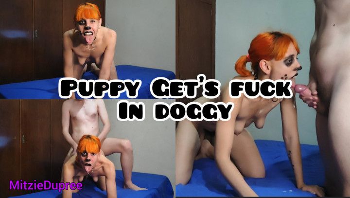 Puppy Get's fuck in doggy