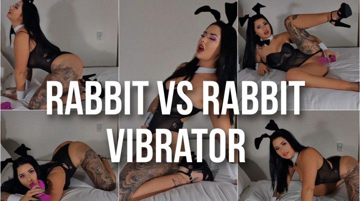 Rabbit vs Rabbit Vibrator