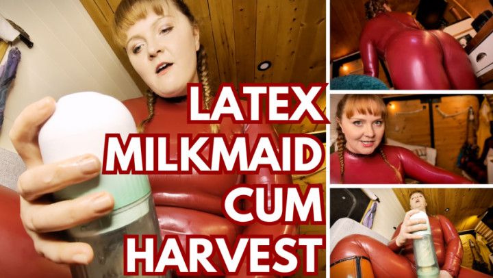 Latex Milkmaid Cum Harvest