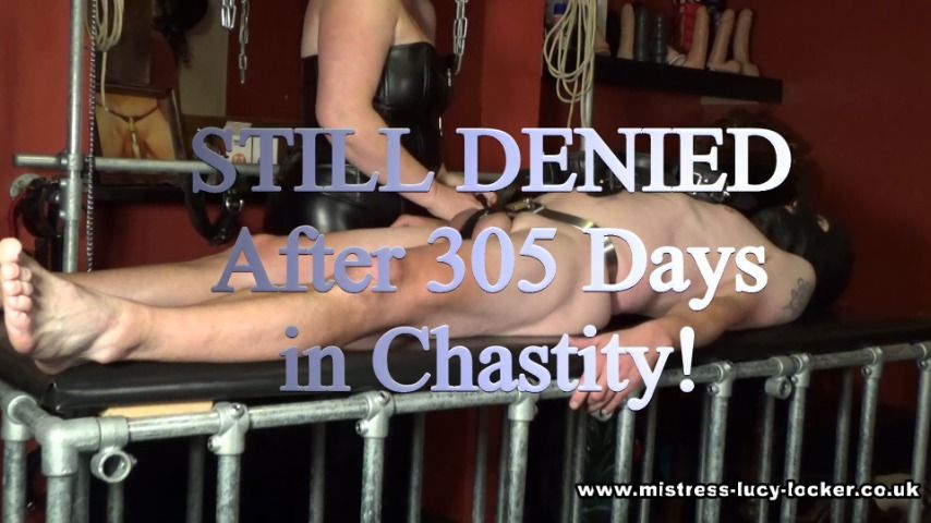 305 Days in Chastity! STILL DENIED