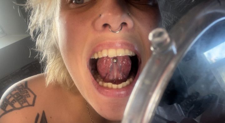 mouth tour uvula tonsils teeth tongue vein check